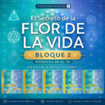 Bloque 2 – Incluye los Módulos 06 al 10