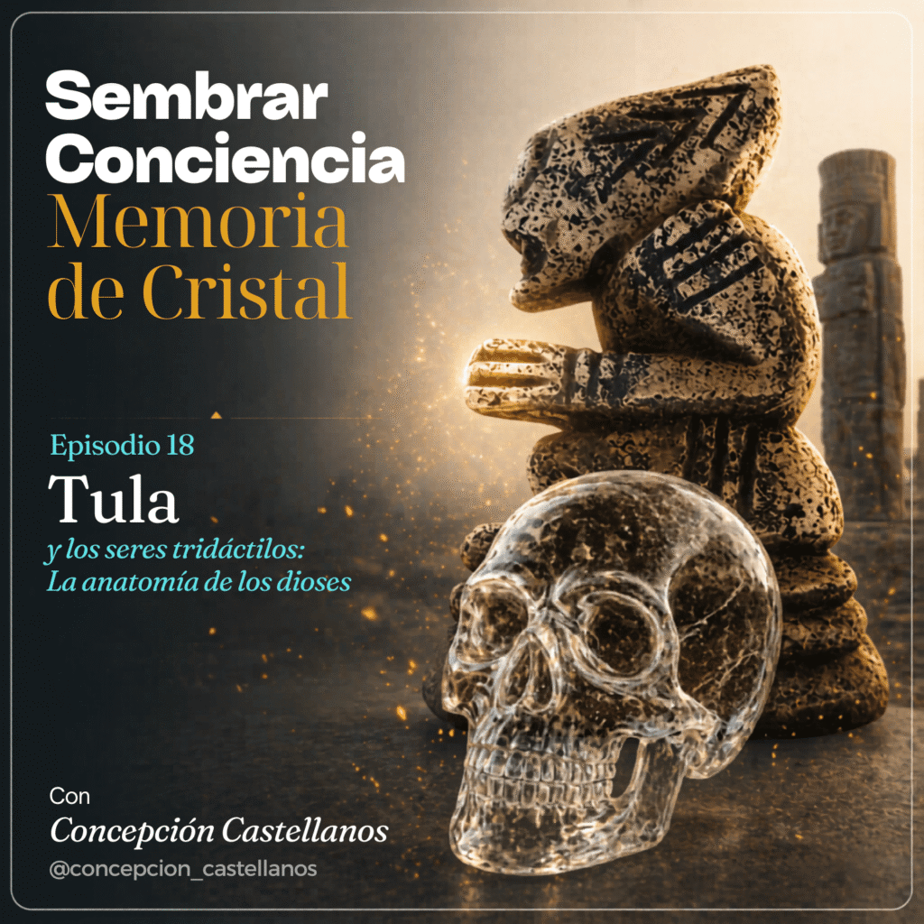 #018 Los Operadores de la Resonancia: El Enigma Tridáctilo