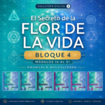 Bloque 4 – Incluye los Módulos 16 al 21