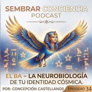 #034 El Ba – La Neurobiología de tu Identidad Cósmica